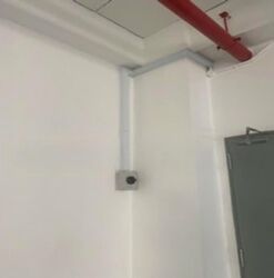 Perfect One (D13), Factory #541625871
